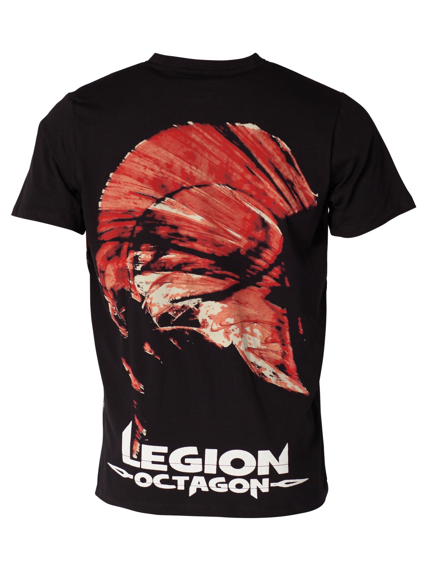Legion Octagon T-Shirt " Fight or Die   " grau "   ..verschiedene Größen NEU 